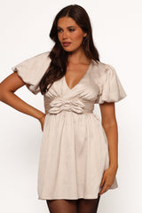 Elegant Dress