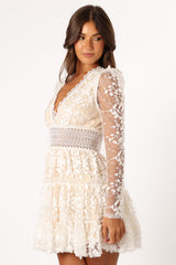 Elegant Dress